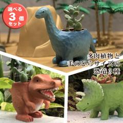 �����o�� 14���܂� �����A�� 3�Z�b�g ���A�� ���� ���A�� ���� ���j�� �t�����[�M�t�g �C���e���A �G�� �I�V���� ���킢�� ���N�� �a��