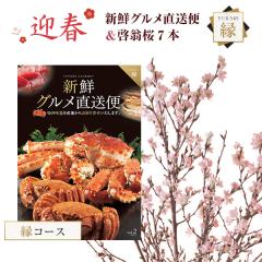 �������� 14���܂� �Ԃ̃M�t�g�� �J�^���O�M�t�g �V�N�O���������� �� �O�����M�t�g �� �}�t �[���� 7�{ ���j�� ��