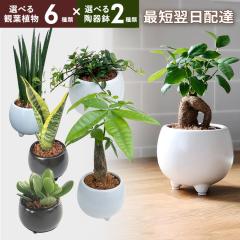  14܂ ~jϗtA KW} TXxA ̂Ȃ K̖ TZxA Ղ̔ ̂Ȃ KW}̖  