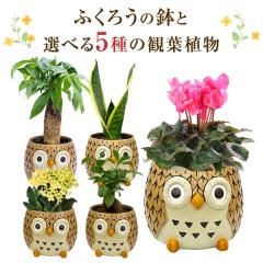 tNE ӂ낤 u  ϗtA  VN KW} pL TXxA ~j JRG ~jϗtA A Ԕ 