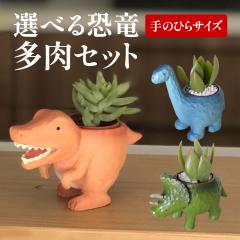 �����o�� 14���܂� �����A�������A�� ���A�� ���� ���j�� �t�����[�M�t�g �C���e���A �G�� �I�V���� ���킢�� �a���� �v���[���g�I�V����