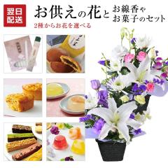 ������ ���� ������� �A�����W�����g ���{���� ������ ������ �ǂ�Ă� �����ˈ� �g��̊��� ���� ���ފ� ���~ �@�� �@�v �i���p �� �M