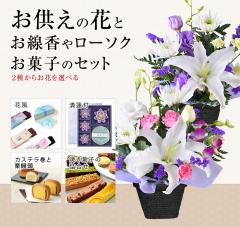    AWg {   ފ ~ @ @v ip  Mtg AW t[Mtg k`