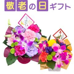 �h�V�̓� �� �A�����W�����g �a�� ���� �M�t�g �v���[���g ����������� ���΂������ ���e �җ� �Ď� ���� ���j�� 60�� 70�� 80�� �c��