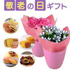 �h�V�̓� �v���[���g �� �X�C�[�c �M�t�g ���A�� �h�V ���b�Z�[�W�J�[�h �� ���َq �a�َq ������ �ǂ�Ă� �J�X�e�� �}���� �I �������