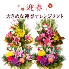 �������� �叼 ������ ���� �A�����W�����g �}�t ���� �� �A�����W�� �������� ���� ���_�� ������� ���������� �t�����[�A�����W�����g