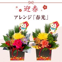 �������� ������ ���� �A�����W�����g �}�t ���� �� �A�����W�� �������� ���� ���_�� ������� ���������� �t�����[�A�����W�����g ����