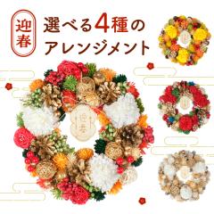 �������� ���[�X ���� ���� �� �������� �}�t ������ ���������[�X ���������� �}�t���[�X ���_�� ������� ���� �t�����[���[�X ���N�� 