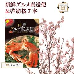  14܂ Ԃ̃Mtg J^OMtg VNO  OMtg  }t [ 7{ j 