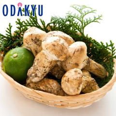 �H�̖��o ���ʔ̔��� �k�ĎY �܂��� 1�� ��500g �b10����{�ȍ~�������͂����k�C���E�l���E��B�E����E�����ւ͓͕s��(��)