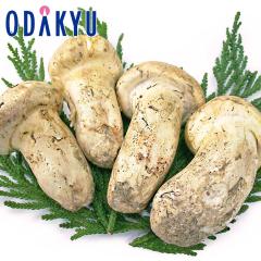 �H�̖��o ���ʔ̔��� �k�ĎY �܂��� 2�� ��500g �b10����{�ȍ~�������͂����k�C���E�l���E��B�E����E�����ւ͓͕s��(��)