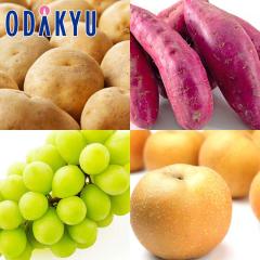 �H�̖��o ���ʔ̔��� �H�̖��o4��Z�b�g �j�݈� �E �g�͂邩 �E �V���C���}�X�J�b�g �E �� �b9�����{�ȍ~�������͂�������E�����ւ͓͕s