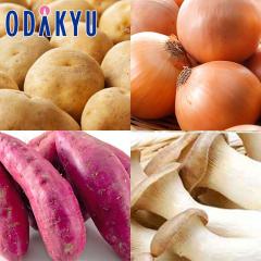 �H�̖��o ���ʔ̔��� �H���͂�4��Z�b�g �j�݈� �E �ʂ˂� �E �g�͂邩 �E �G�����M �b9�����{�ȍ~�������͂�������E�����ւ͓͕s��(��)