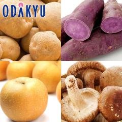 �H�̖��o ���ʔ̔��� �H�̂�����4�� ���������� �E �p�[�v���X�C�[�g �E �� �E �������� �b9�����{�ȍ~�������͂�������E�����ւ͓͕s��