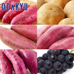�H�̖��o ���ʔ̔��� �H�̖��o6�� �H�ה�׃Z�b�g ���܂���4�� �E �j�݈� �E ���� �b9�����{�ȍ~�������͂�������E�����ւ͓͕s��(��)