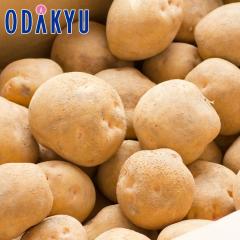 �H�̖��o ���ʔ̔��� �k�C���Y���������� L�`2L�T�C�Y 5kg �b9�����{�ȍ~�������͂�������E�����ւ͓͕s��(��)
