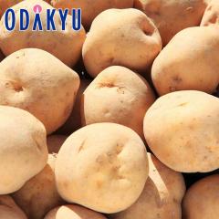 �H�̖��o ���ʔ̔��� �k�C���Y �����j�� L�`2L�T�C�Y 3kg �b9�����{�ȍ~�������͂�������E�����ւ͓͕s��(��)