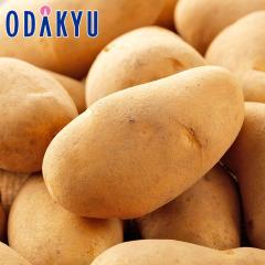�H�̖��o ���ʔ̔��� ���[�N�C�� L�`2L 5kg �b9�����{�ȍ~�������͂�������E�����ւ͓͕s��(��)