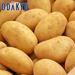 �H�̖��o ���ʔ̔��� ���[�N�C�� L�`2L 10kg �b9�����{�ȍ~�������͂�������E�����ւ͓͕s��(��)