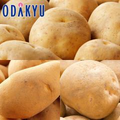 �H�̖��o ���ʔ̔��� �k�C�����Ⴊ����3�� 3kg �j�� �E ���������� �E ���[�N�C�� �b9�����{�ȍ~�������͂�������E�����ւ͓͕s��(��)