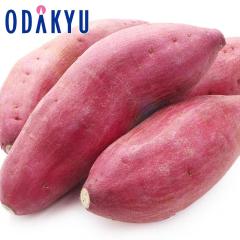 �H�̖��o ���ʔ̔��� ����� L�`2L�T�C�Y 5kg �b9�����{�ȍ~�������͂�������E�����ւ͓͕s��(��)
