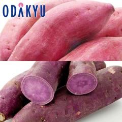 �H�̖��o ���ʔ̔��� ���܂���2�킨���� 2kg ����� �E �p�[�v���X�C�[�g �b9�����{�ȍ~�������͂�������E�����ւ͓͕s��(��)