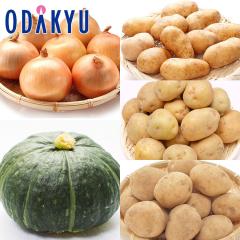 �H�̖��o ���ʔ̔��� ����100�Z�b�g �k�C���̏{���4�킽���Ղ�l���� �b9�����{�ȍ~�������͂�������E�����ւ͓͕s��(��)