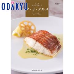 �J�^���O�M�t�g �m�A�E���E�O���� ���b�h �A�C�n ���j ���Ԃ� ���T�Ԃ� ���� ���j �M�t�g ��7-10�����x��(A)