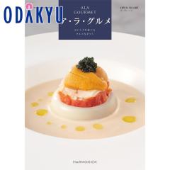 �J�^���O�M�t�g �������� �m�A�E���E�O���� �I�[�v�� �n�[�g�n ���j ���Ԃ� ���T�Ԃ� ���� ���j ��7�`10�����x�ł̓�(A)