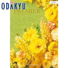 �J�^���O�M�t�g �m�v���~�G �G�N���^���n ���j ���Ԃ� ���T�Ԃ� ���� ���j �M�t�g �S�ݓX ��7-10�����x��(A)