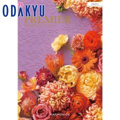 �J�^���O�M�t�g �������� �m�v���~�G �p�V�A���n ���j ���Ԃ� ���T�Ԃ� ���� ���j �M�t�g �S�ݓX ��7-10�����x��(A)