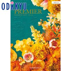 �J�^���O�M�t�g �������� �m�v���~�G �u�����V�F�n ���j ���Ԃ� ���T�Ԃ� ���� ���j �M�t�g �S�ݓX ��7-10�����x��(A)