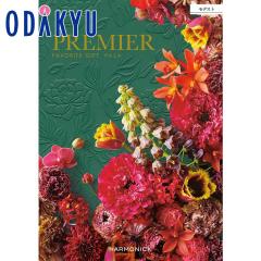 �J�^���O�M�t�g �������� �m�v���~�G ���f�X�g�n ���j ���Ԃ� ���T�Ԃ� ���� ���j �M�t�g �S�ݓX ��7-10�����x��(A)