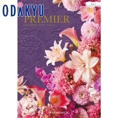 �J�^���O�M�t�g �������� �m�v���~�G �h�D�[�n ���j ���Ԃ� ���T�Ԃ� ���� ���j �M�t�g �S�ݓX ��7-10�����x��(A)