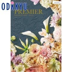 �J�^���O�M�t�g �������� �m�v���~�G �W�����e�B�n ���j ���Ԃ� ���T�Ԃ� ���� ���j �M�t�g �S�ݓX ��7-10�����x��(A)