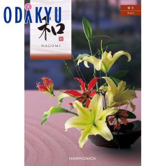 �J�^���O�M�t�g �������� �m�a �Ȃ��� �ː��n ���j ���Ԃ� ���T�Ԃ� �M�t�g �S�ݓX ��7-10�����x��(A)