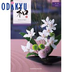 �J�^���O�M�t�g �������� �m�a �Ȃ��� �H��d�n ���j ���Ԃ� ���T�Ԃ� �M�t�g �S�ݓX ��7-10�����x��(A)