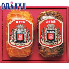 �M�t�g �������� �m �J�C�[���n�� �n �n���l���� D-500 �b7-10�����x�ł̂��͂�������E�����ւ͓͕s��(��)