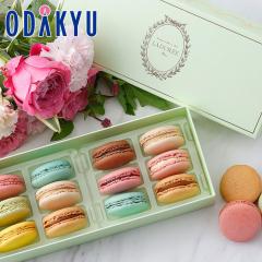 �M�t�g ���َq �m ���f���� �n �A���^���|���� �}�J���� 12���� �b7-10�����x�ł̂��͂�������E�����ւ͓͕s��(��)