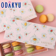 �M�t�g ���َq �m ���f���� �n �}���O���b�g�E�}�J���� 12���� �b7-10�����x�ł̂��͂�������E�����ւ͓͕s��(��)