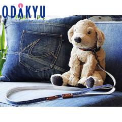 �f�j�� �G�� �m ���R �f�j�����{ �n �f�j�����U���Z�b�g �r 1 �b7-10�����x�ł̂��͂�������E�����ւ͓͕s��(��)