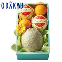 ���̓� 2026 �m �V�h���� �n ���̓� ������ & �V�g���X �b�w����́�����E�����ւ͓͕s��(FD)