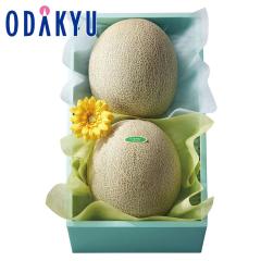 ���̓� 2026 �m �V�h���� �n ���̓� �������R���r �b�w����́�����E�����ւ͓͕s��(FD)