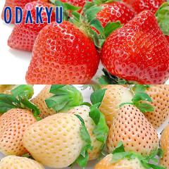 ������ �������� �ԂƔ��̂������̋��� �������Y �������܂��� �� ���ꌧ�Y�ق� �W�� �H�ה�� ��0.5kg A�i�ȏ� �b7-12�����x�ł̂��͂�