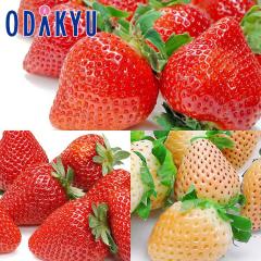 ������ �������� �g�����ґ򂢂����̌� �������Y ���܂��� �E �Ƃ����Ƃ� �E �W�� �H�ה�� ��0.7kg A�i�ȏ� �b7-12�����x�ł̂��͂�����