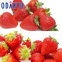 ������ �������� ����t�@�~���[ �Ƃ������� �E �g�ق��� �E ���΂�L�b�X ��0.7kg A�i�ȏ� �b7-12�����x�ł̂��͂�������E�����ւ͓͕s