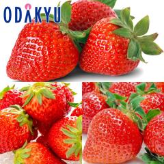 ������ �������� �����̂��t�@�~���[ ��߂̂� �E �g�ق��� �E ���܂��� ��0.7kg A�i�ȏ� �b7-12�����x�ł̂��͂�������E�����ւ͓͕s��