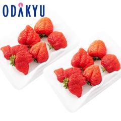 ������ �������� �������� ����100�Z�b�g �������Y �������܂��� �O�����f 2�p�b�N ��0.5kg �b7-12�����x�ł̂��͂�������E�����ւ͓͕s