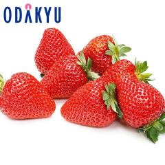 ������ �������� �������� ����200�Z�b�g �Ƃ����Ƃ� 4�p�b�N�Z�b�g ��1kg A�i�ȏ� �b7-12�����x�ł̂��͂�������E�����ւ͓͕s��(��)