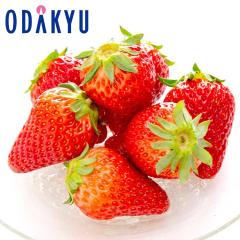 ������ �������� �������� ����200�Z�b�g �g�ق��� 4�p�b�N�Z�b�g ��1kg A�i�ȏ� �b7-12�����x�ł̂��͂�������E�����ւ͓͕s��(��)